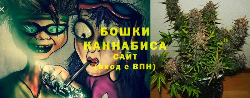 Галлюциногенные грибы Валуйки